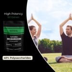Pure TurkTailMax Mushroom Extract - 120 Capsules High Strength 40% polysaccharides from 100% Fruiting Bodies - Immune Support and Vitality - No Fillers No Additives - Vegan Friendly - Image 4