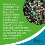 POTTER'S HERBALS EST. 1812 Potter's Herbals Seatone Super Strength Green Lipped Mussel Extract | Helps Maintain Joint Mobility | 90 capsules - Image 3