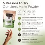 Lions Mane Powder Mushroom Supplement 100g | Pure Fruiting Body 8:1 High Strength Extract | 20% Beta-D Glucans | 8,000mg Raw Equivalent Per Serving | No Fillers | Focus, Memory, Gut & Brain Support - Image 3