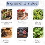 Adult Nootropic Capulses by KOBES | Nootropics Brain Supplements | Nootropics Brain Supplement | No fillers, Additives or Bulkers, Pure Active Ingredients | Brain Health Supplement - Image 5
