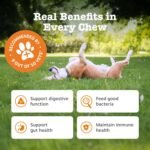 Zesty Paws Probiotics for Dogs | Digestive Chews for Dogs, with Prebiotics, Probiotics and Postbiotics | Supports Gut Health, Stool Quality and Digestive Balance | daily supplement | 90 soft chews - Image 3
