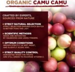 Camu Camu Capsules | Certified Organic | 1500mg per Serving | 120 Capsules | Natural Source of Vitamin C | 100% Recommended Intake | MySuperfoods - Image 4