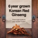 Everytime Korean Red Ginseng Extract 1,050mg & Mango - Natural Energy boosters for Fatigue - Energy Boost & Immune Support, Caffein Free (20 Sticks, 10ml) - Image 7