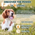 Probiotics for Dogs, 200 Soft Chews Digestive Probiotics & Enzymes for Gut Health with Pumpkin, Fibre for Dogs Anti Diarrhea, Upset Stomach, Gas Relief, Itchy Skin & Immune Support (Chicken) - Image 5
