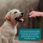 Itchy Dog Skin Relief - Immune Support for Cats & Dogs, Dog Itchy Skin Reliefs, Natural Herbal Antibiotics for Cat Skin Irritation Treatment, Allergy Relief for Dogs & Cats | 50ml - Image 3