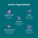 Itchy Dog Skin Relief - Immune Support for Cats & Dogs, Dog Itchy Skin Reliefs, Natural Herbal Antibiotics for Cat Skin Irritation Treatment, Allergy Relief for Dogs & Cats | 50ml - Image 5