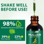 2 Pack Mullein Drops for Lungs, Mullein Leaf Extract with Chlorophyll, Mullein Leaf Extract Supplement, for Lung Cleanse and Respiratory Support - Image 3