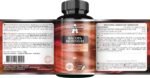 Bacopa Monnieri Extract 500mg, High Strength Brahmi Extract (50% Bacosides), 90 Vegan Capsules, 3 Months Supply, Herbal Supplements for Enhanced Mental Clarity and Focus by Apollo's Hegemony - Image 3