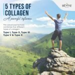 Multi Collagen Protein Capsules - 120 Count - Types I, II, III, V & X - Hydrolysed Grass Fed Bovine, Wild Caught Marine & Free-Range Chicken, Made with Hyaluronic Acid & Vitamin C by Revive Naturals - Image 4