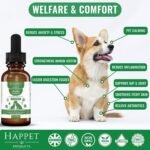Hemp Oil for Dogs & Cats - Natural Anxiety & Stress Relief for Dogs & Cats - Hip & Joint Supplement for Dogs - Pet Hemp Calming Drops - Hemp Oil for Calming Dog & Cat Treats - 1 fl oz Made in UK - Image 3