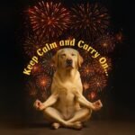 Herbal Hush Calming Tablets for Dogs, Reduce Stress, Barking, Separation, Fear, Scullcap and Valerian with Lemon Balm and L-Theanine, 200 Dog Calming Tablets That Work for Anxiety Relief - Image 4