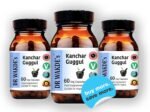 DR WAKDE'S Kanchnar Guggul (60 Veg Caps, Ayurvedic Supplement, Vegan, Herbal, Natural, Made in The UK) - Image 5