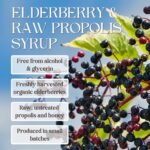 Organic Elderberry & Propolis Syrup | 100% Pure Raw Bee Propolis Extract, Raw Honey & Elderberry Extract - Alcohol-Free | for Kids & Adults, (Up to 30 Servings - 250 ml) - Image 3