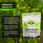 Ginkgo Biloba High Strength Capsules | 6000mg Highly Dosed | 50:1 Extract - 180 Capsules | Ginkgo Biloba 6000mg | Suitable for Vegans - Manufactured in The UK by Hellenia - Image 3