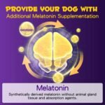 Dog Melatonin - Melatonin for Dogs & Cats - Liquid Dog Sleep Aid Supplement -Dog Anxiety & Stress Relief -Dog Calming Drops for All Breeds and Size - Image 7