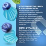 Marine Collagen Gummies, Hydrolysed Collagen Peptides w/Biotin, Hyaluronic Acid & Vitamin C, Collagen Supplements for Women & Men, Collagen for Skin, Hair & Nails (One Size, Blueberry) - Image 3