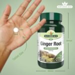 Natures Aid Ginger Root 500mg - Supports Digestion, Sickness, Nausea, Joint and Wellbeing - Botanical Supplement, Provides Gingerols and Shogaols - Vegan, Non-GMO, Gluten-Free - 90 Tablets - Image 4