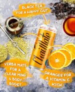 ChaiMate Natural Yerba mate Tea Energy Drink, Vegan & Gluten Free Plant Based Orange Soda, can 330ml x 12 pack (Orange) - Image 5