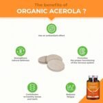 Organic ACEROLA 1000 mg | Natural Vitamin C | Highly Concentrated | Reduces Fatigue, Protects from Oxidative Stress & Strengthens The Immune System | 30 Vegan Tablets | French Expertise - Image 3