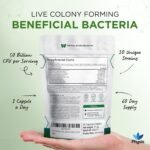 Physis 50 Billion CFU Probiotics for Gut Health | Digestion | Bloated Stomach Relief | 60 Capsules (up to 2 Month Supply) | Complete Gut Repair | Probiotics for Men & Women | Made in The UK - Image 5