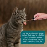 Cat Calming Drops, Cat Calm Stress & Anxiety Relief, 100% Herbal Blend, Use for Calms, Travel, Grooming, Fireworks, Better Value than Plug In for Cats - 50ml - Image 3