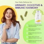 Urinary Flow & Biofilm Support – UT Flow 60 Capsules | D-Mannose, Digestive Enzymes & Botanicals for Urinary Tract, Bladder Wall & Immune Health | Vegan, Non-GMO, UK Made by vh1be - Image 4