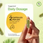 Urinary Flow & Biofilm Support – UT Flow 60 Capsules | D-Mannose, Digestive Enzymes & Botanicals for Urinary Tract, Bladder Wall & Immune Health | Vegan, Non-GMO, UK Made by vh1be - Image 5