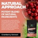 Kidney XL Supplement 700mg | Kidney Cleanse Detox & Repair | Herbal Supplements for Healthy Kidney Function & Urinary Tract Health | Cranberry Extract | 60 Vegan Capsules - Image 4