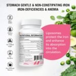 Liposomal Iron Supplement (as Ferrous Sulfate) with Folic Acid 400mcg and Vitamin B12 10mcg, Increase Iron Levels for Adults, Superior Absorbed and Stomach Friendly (60 Count (Pack of 1)) - Image 3