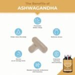 Organic Ashwagandha | 90 Vegan Capsules | Patented Extract with 5% Withanolides | Boost Sleep, Focus & Energy | 1200 mg | French Expertise - Image 3