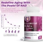 Pure NAD + Trans-Resveratrol + TMG | 2000mg | 3-in-1 Advanced Formula | NAD Resveratrol TMG Supplement | Boost NAD+ | Immune & Energy Support, Skin & Overall Health | 60 Capsules - Image 3