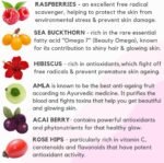 Beauty Glow - Super Berry Powder 150g | Superfood Powder for Glowing Skin & Anti-Aging | Rich in Vitamin C & Antioxidants | Vegan Collagen Booster | Includes Acai, Raspberry, Hibiscus - Image 5