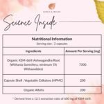 Organic Ashwagandha 7200 mg KSM 66 Capsules High Strength - 1 Month Supply - Ayurveda Stress Relief, Improved Sleep, Memory & Cognitive Function - Vegan Herbal Supplements for Men & Women, Made in UK - Image 3