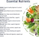 Applied Nutrition Critical Greens Powder and Superfood Blend for Gut Health Energy and Immune Support Vegan Daily Greens Juice Powder (250g - 50 Servings) - Image 4