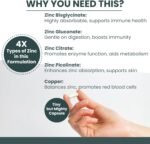 Zinc Supplements, High Strength Ultra Zinc Complex, 120 Premium Capsules, Includes Copper Supplement for Immune System & Cognitive Function, Potent Dose, UK Made, Complex Capsules, Picolinate - Image 4