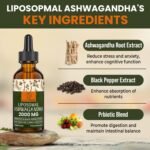 Liposomal Ashwagandha Drops 2000mg, Pure Natural Ashwagandha Extract, Enrich Probiotics & Black Pepper Extract, Stress Relieve Supplements, Increase Energy (60 ml (Pack of 1)) - Image 3