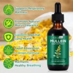 Mullein Drops, Mullein Leaf Extract Drops,Mullein Leaf Liquid Drops, Mullein Herbal Supplements Drops for Fast Absorption (2PCS) - Image 3