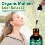 Mullein Drops, Mullein Leaf Extract Drops,Mullein Leaf Liquid Drops, Mullein Herbal Supplements Drops for Fast Absorption (2PCS) - Image 8