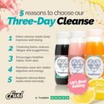 Juice Cleanse, 3 Day Detox Cleanse - 15 x 250ml, Healthy Juice Diet, Cold Pressed Fruit & Vegetables, Freezer Friendly, Vegan, Dairy & Gluten-Free, No Added Sugar or Preservatives - Image 5