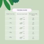 Hilton Herbs Detox Support Natural Dog Supplement. 100% Natural Ingredients. Supports Liver and Kidneys. Post Worming and Medication Support For Dogs. 125 g - Image 4