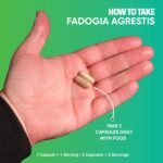 Fadogia Agrestis, Premium Natural Supplement for Muscle Building & Recovery, 60 Vegetarian Capsules - Made in The UK - Image 5