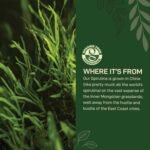 NutriCraft Pure Organic Spirulina Powder - 1kg, High Protein, Antioxidant-Rich, Superfood for Smoothies, Juices, and Baked Goods, No Additives or Preservatives, Natural Immune System Booster - Image 5