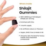 Shilajit Gummies - Enriched with Zinc & Vitamin B6 - High Strength 3000mg Pure Himalayan Shilajit for Men and Women - Berry Flavoured, Vegan Shilajit Gummies by New Leaf - Image 3