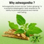 Ashwagandha Extract Capsules - Premium Strength 2000mg One a Day Formula - Supports Energy, Overall Health, and Hormone Regulation - Vegan and Gluten Free - 30 Capsules - Image 8