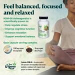 Your Organic Health - Organic Ashwagandha KSM-66-500mg - 60 Capsules: 2-Month Supply - with Black Pepper - High Strength Potent 12:1 Extract - Stress Relief Supplement - Soil Association Certified - Image 3