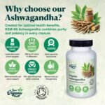 Your Organic Health - Organic Ashwagandha KSM-66-500mg - 60 Capsules: 2-Month Supply - with Black Pepper - High Strength Potent 12:1 Extract - Stress Relief Supplement - Soil Association Certified - Image 5