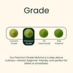 Heapwell Matcha Powder - 50g | High Grade Japanese Premium Green Tea Powder | Great Taste Award Winner | Perfect for Tea, Lattes & Smoothies | Contains L-Theanine & Antioxidants | Vegan & Gluten-Free - Image 5