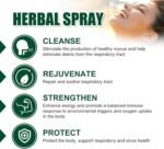 Lung Cleansing Spray, Mullein Leaf Extract for Lungs, Herbal Lung Cleanse, Powerful Lung Support, Natural Respiratory Cleanse & Breathe Spray, Herbal Lung Care Essence Daily Use (2) - Image 3
