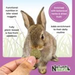 ProCare+ Calming 120g | 100% Natural Supplement for Rabbits, Guinea Pigs, and Small Pets, Herbal Biscuit Treats, Rich in Dietary Fibre, Grain Free, Manufactured in the UK - Image 5