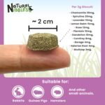 ProCare+ Calming 120g | 100% Natural Supplement for Rabbits, Guinea Pigs, and Small Pets, Herbal Biscuit Treats, Rich in Dietary Fibre, Grain Free, Manufactured in the UK - Image 6